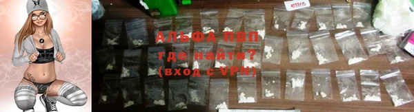 тгк Абаза