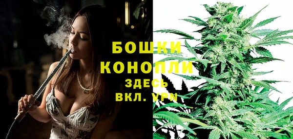 PSILOCYBIN Алексин