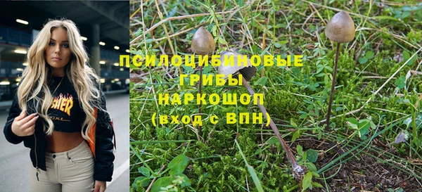 PSILOCYBIN Алексин