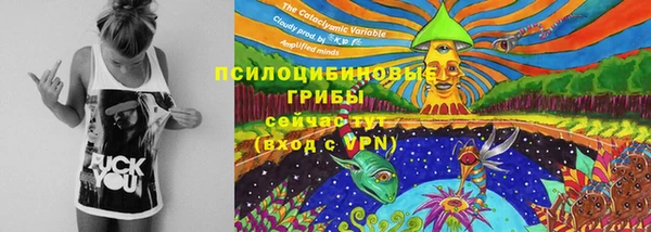 а пвп мука Алзамай