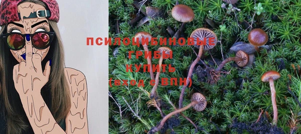 PSILOCYBIN Алексин
