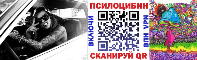 где найти Сыктывкар Псилоцибиновые грибы мухоморы